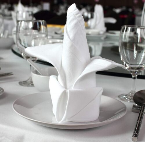 Table Linen 100% Egyptian Cotton 250 TC - 12 Pieces White Cotton Napkins Towelsworld